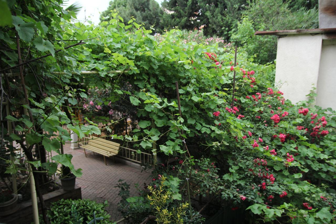 Guesthouse Different Тбілісі Екстер'єр фото
