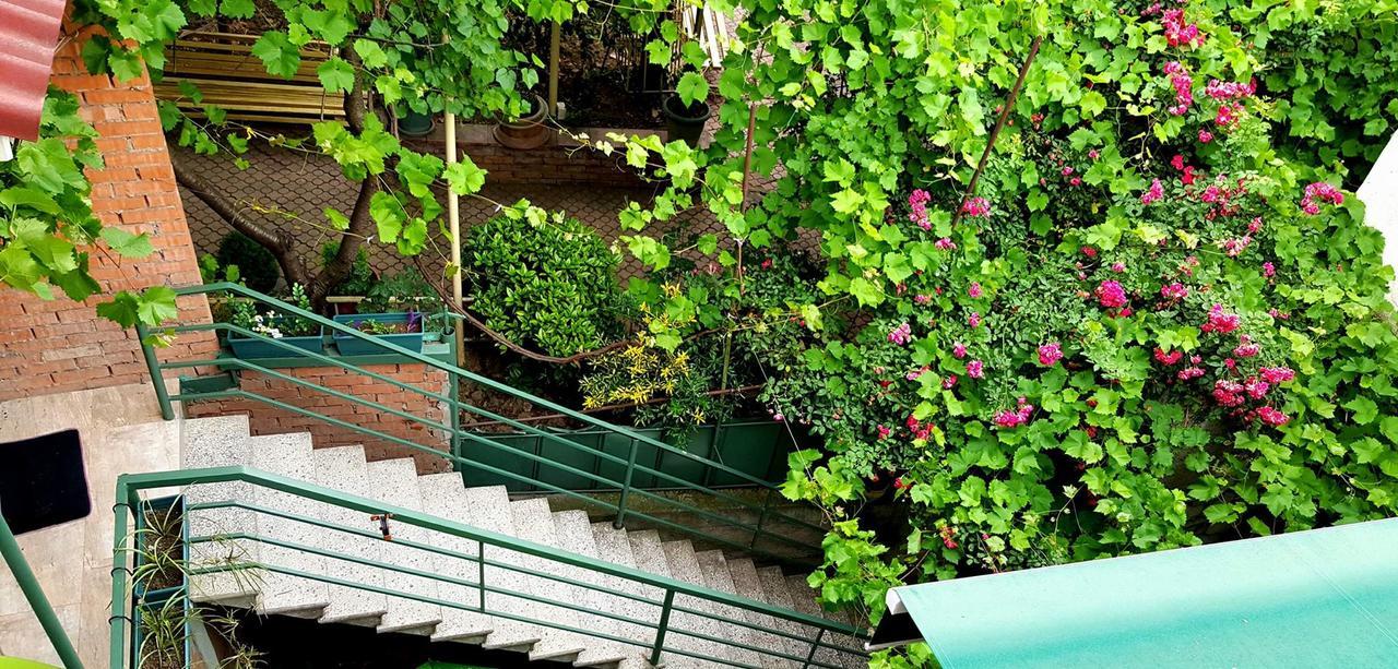 Guesthouse Different Тбілісі Екстер'єр фото