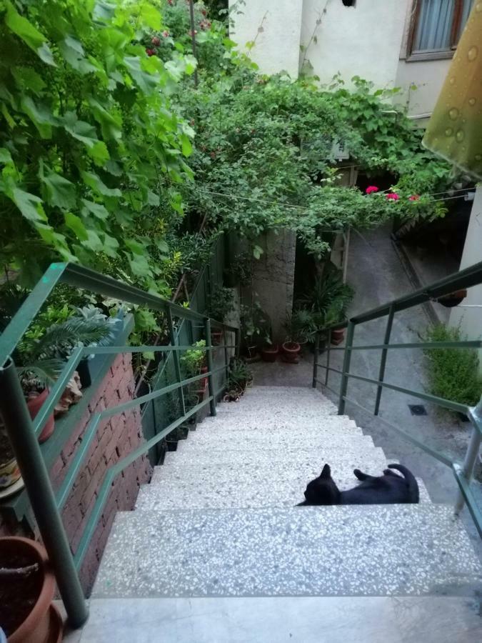 Guesthouse Different Тбілісі Екстер'єр фото